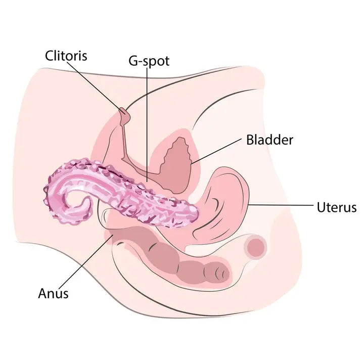 The Sacred Squirter® Glass Dildo Pleasure Wand